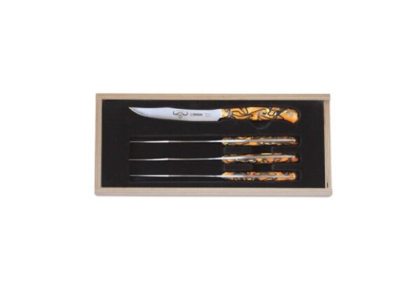 GIESSER PremiumCut Steakmesser Set Spicy Orange - 4er Set